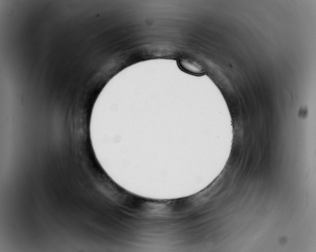X0000103420170200810241043