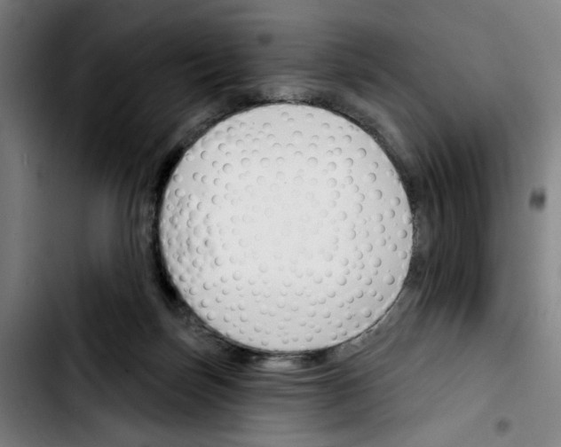 X0000103420171200810241043