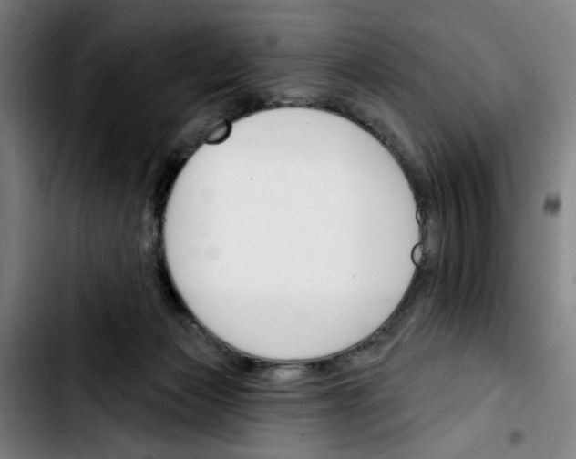 X0000103420173200810241043