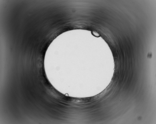 X0000103420174200810241043