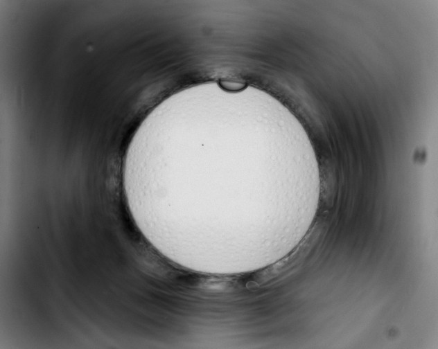 X0000103420175200810241043