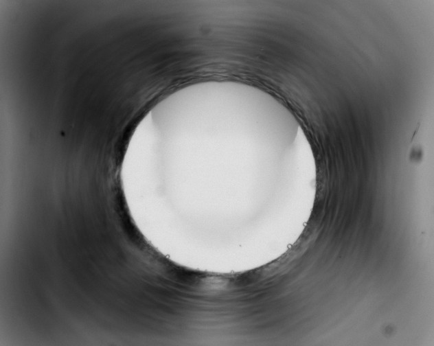 X0000103420176200810241043