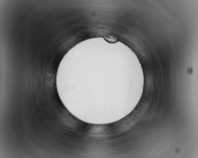 X0000103420177200810241043