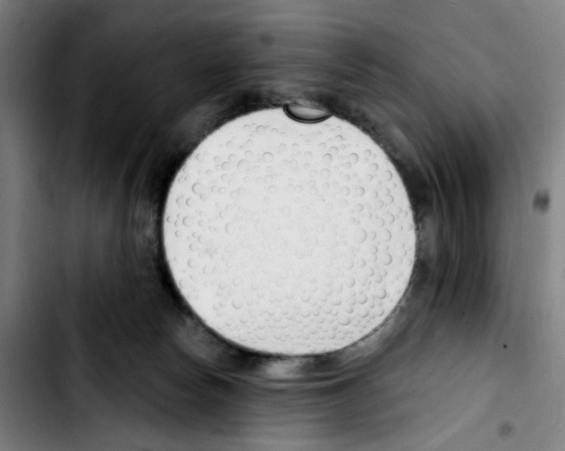 X0000103420178200810241043