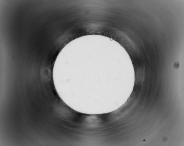 X0000103420183200810241043