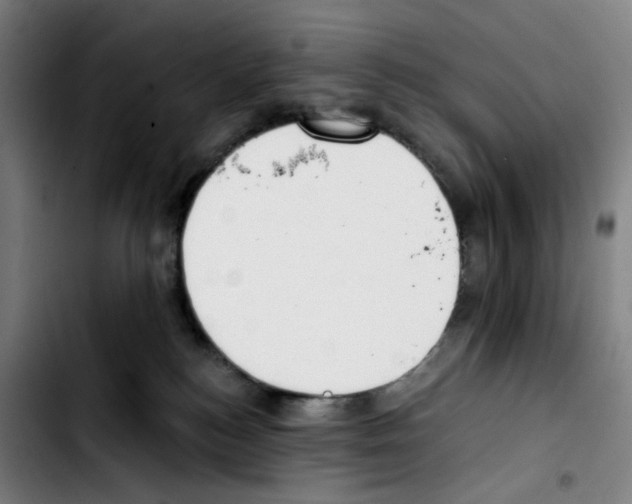 X0000103420184200810241043