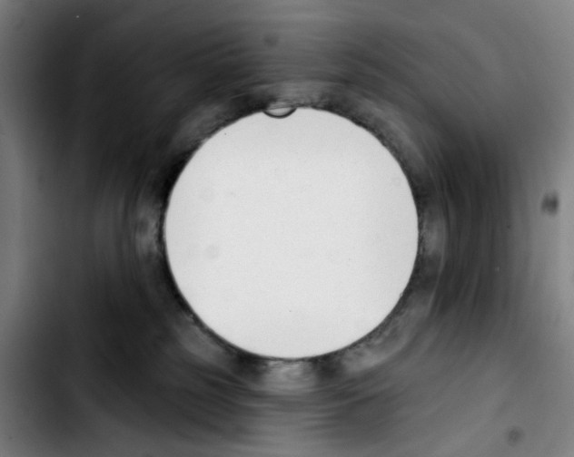 X0000103420185200810241043
