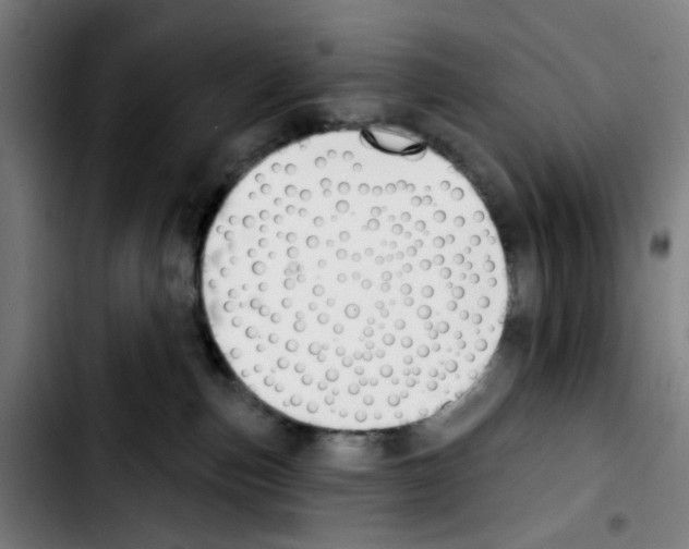 X0000103420187200810241043