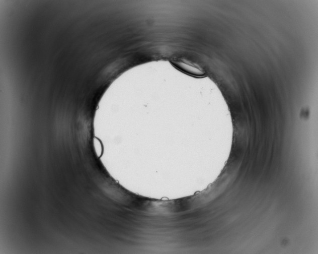X0000103420188200810241043