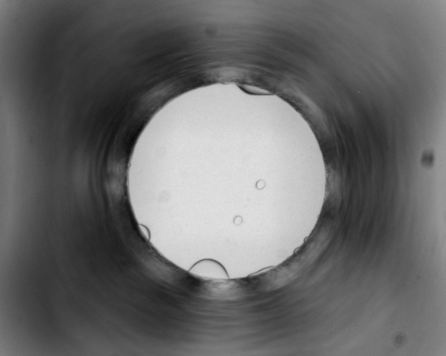 X0000103420189200810241043