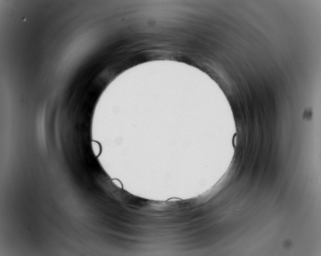 X0000103420190200810241043