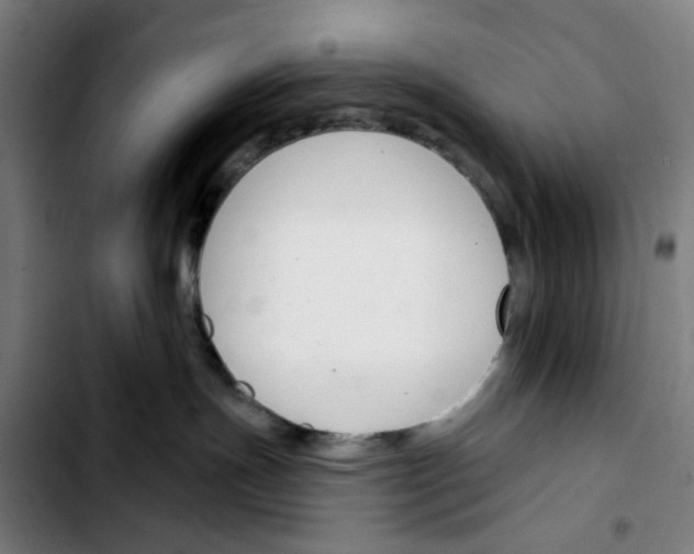 X0000103420191200810241043