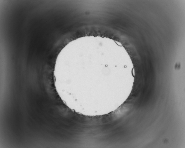X0000103420192200810241043