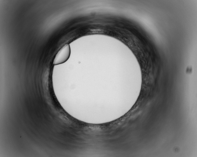 X0000103420194200810241043