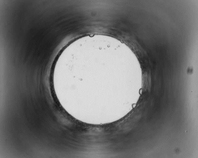 X0000103420195200810241042