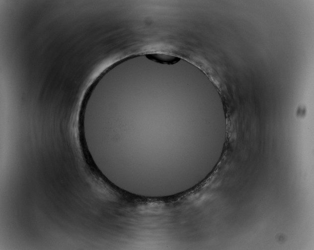 X0000103420196200810241042