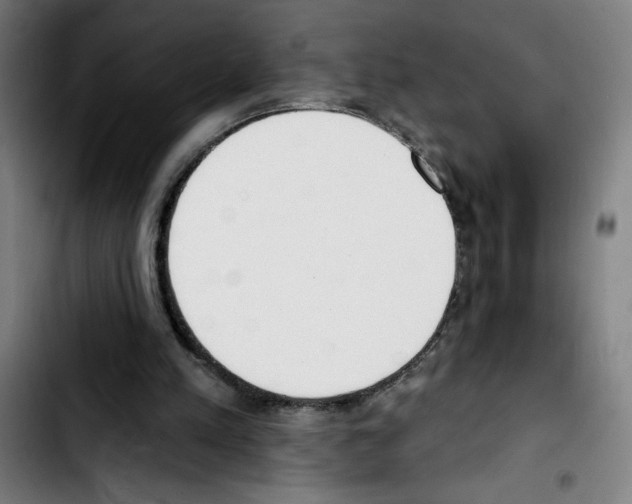 X0000103420197200810241042