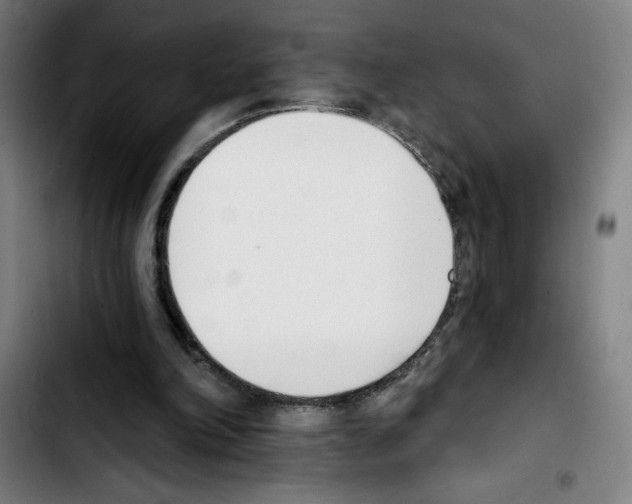 X0000103420198200810241042