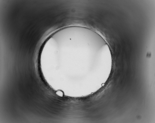 X0000103420199200810241042