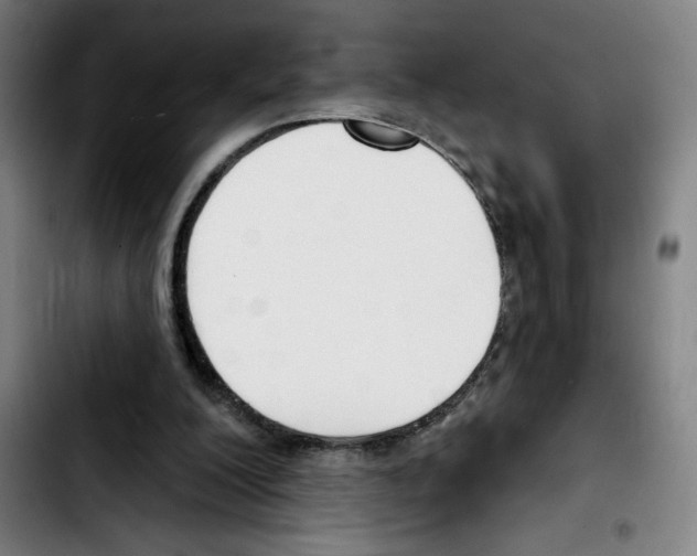 X0000103420200200810241042