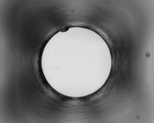 X0000103420201200810241042