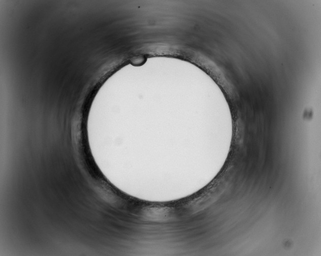 X0000103420202200810241042