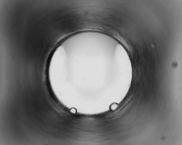 X0000103420203200810241042