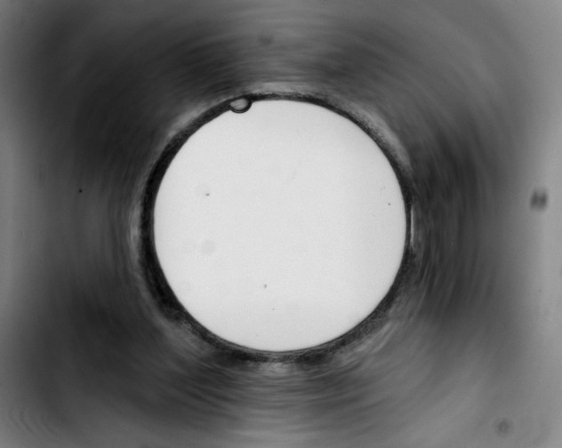 X0000103420204200810241042