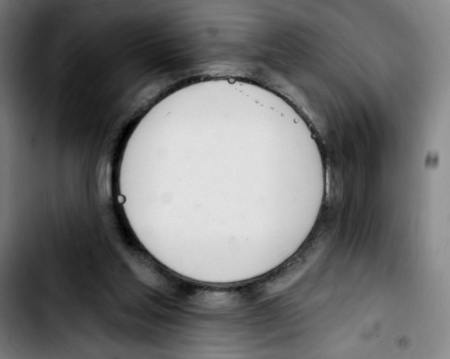 X0000103420205200810241042