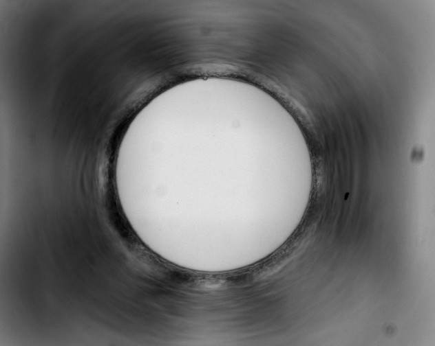 X0000103420206200810241042