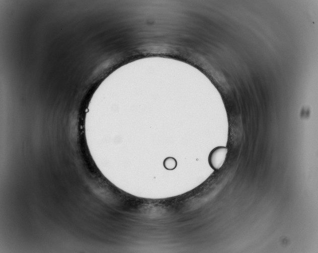 X0000103420207200810241042