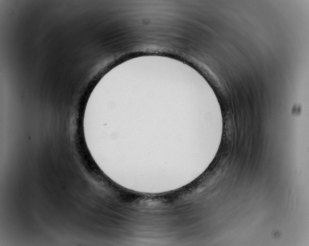 X0000103420208200810241042