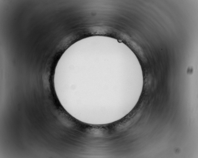 X0000103420209200810241042