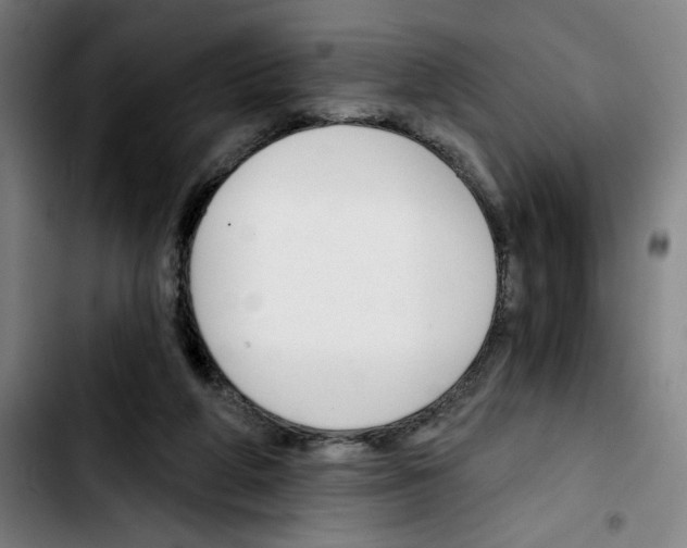 X0000103420210200810241042
