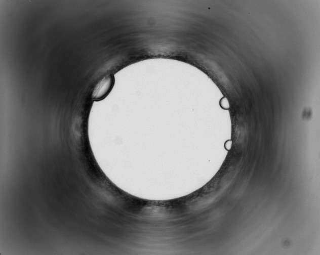 X0000103420211200810241042