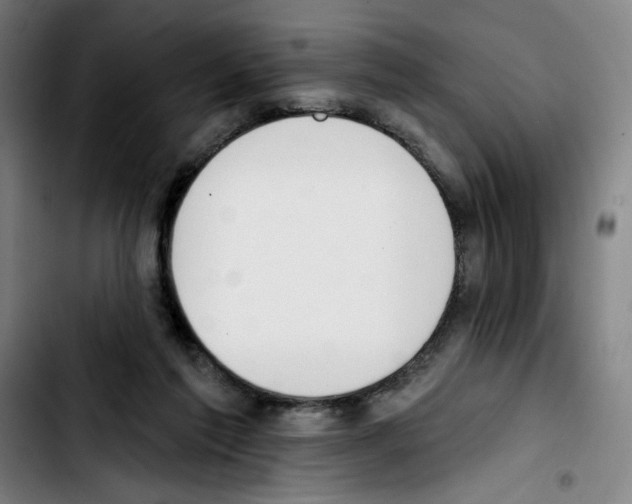 X0000103420213200810241042