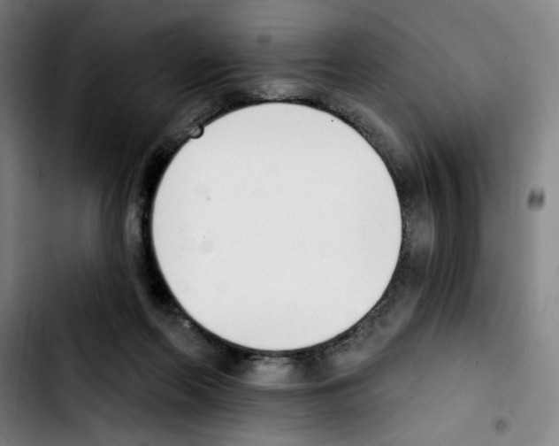 X0000103420214200810241042