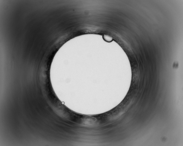 X0000103420215200810241042