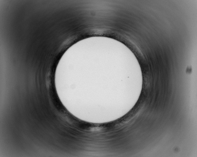 X0000103420216200810241042