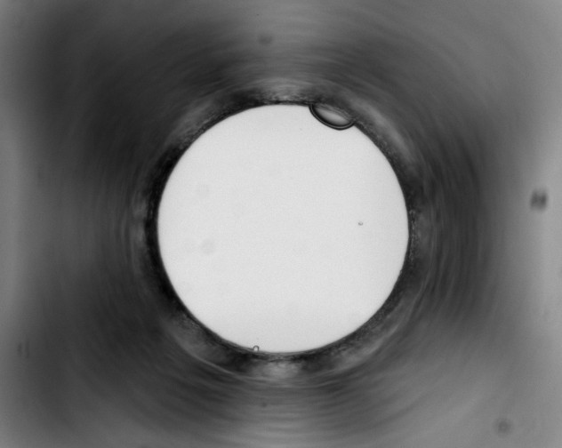 X0000103420217200810241042