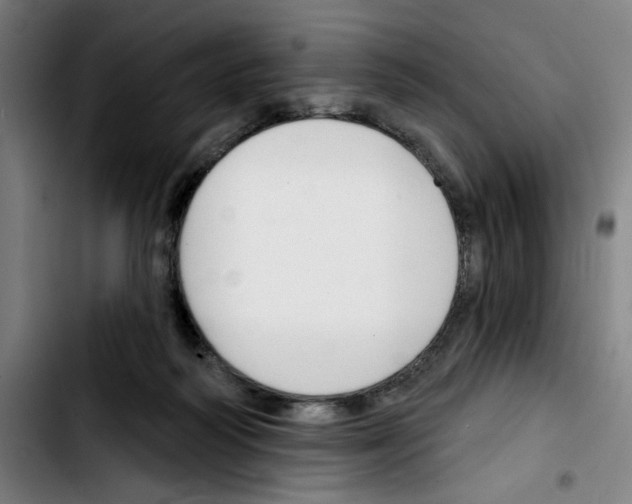 X0000103420218200810241042
