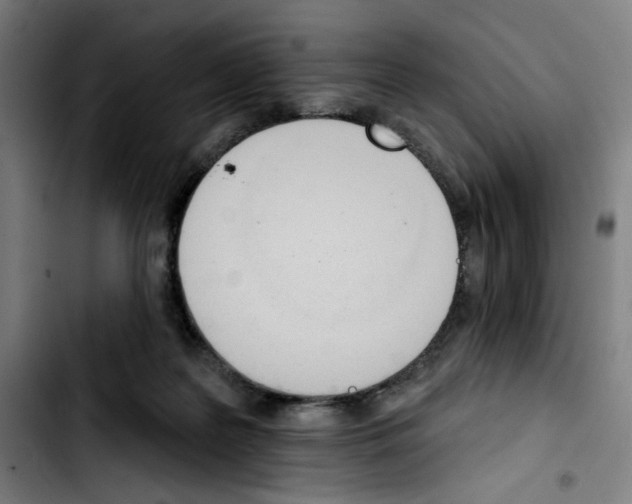 X0000103420219200810241042