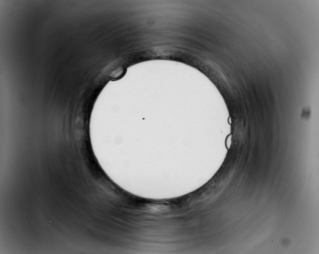 X0000103420220200810241042
