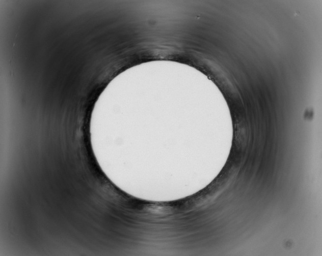 X0000103420221200810241042
