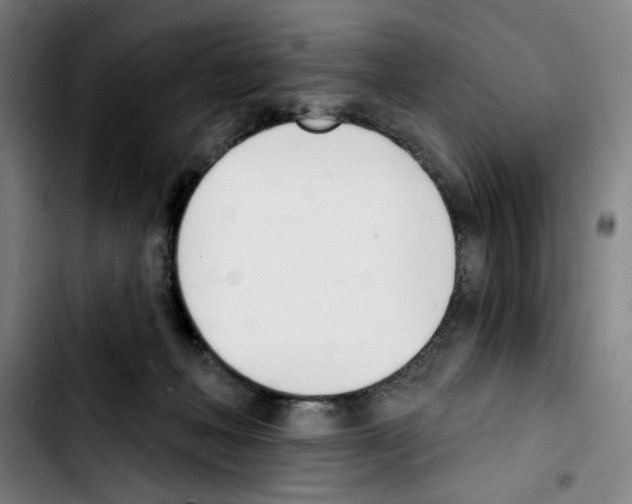 X0000103420222200810241042
