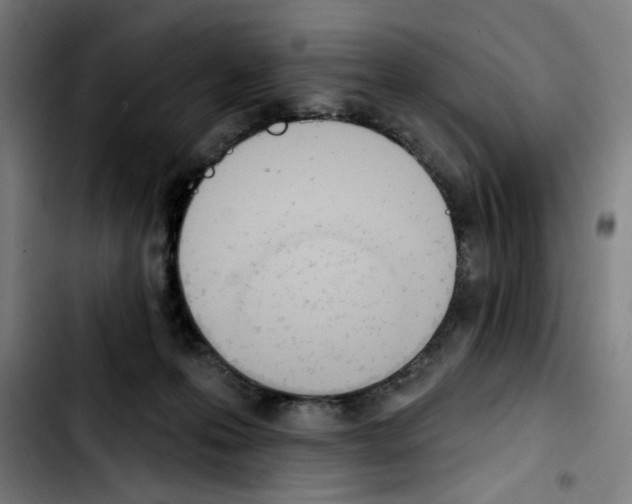 X0000103420223200810241042