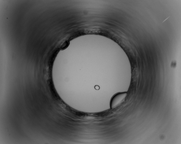 X0000103420224200810241042