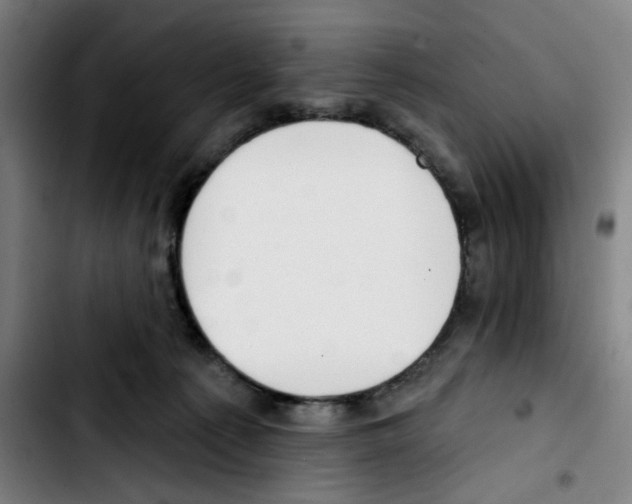 X0000103420225200810241042
