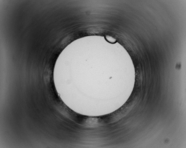 X0000103420227200810241042