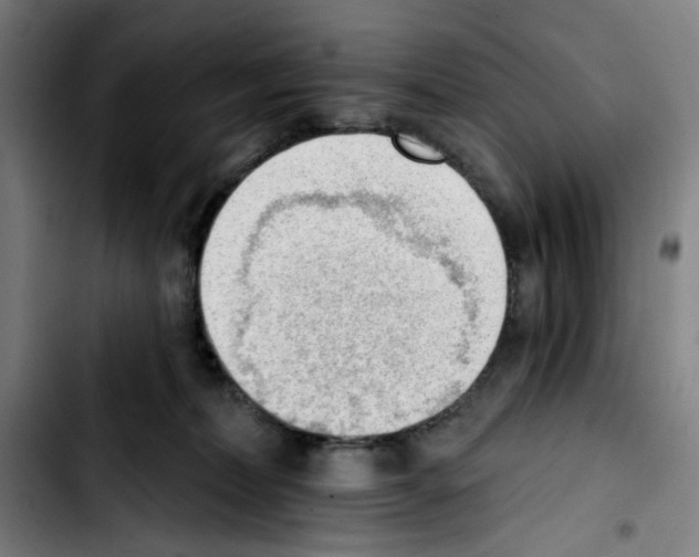 X0000103420228200810241042
